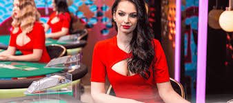 7mm7 APP မှ Live Casino Sportsbook Slots ဂိမ်းများ ကစားနေသည့်မြင်ကွင်း